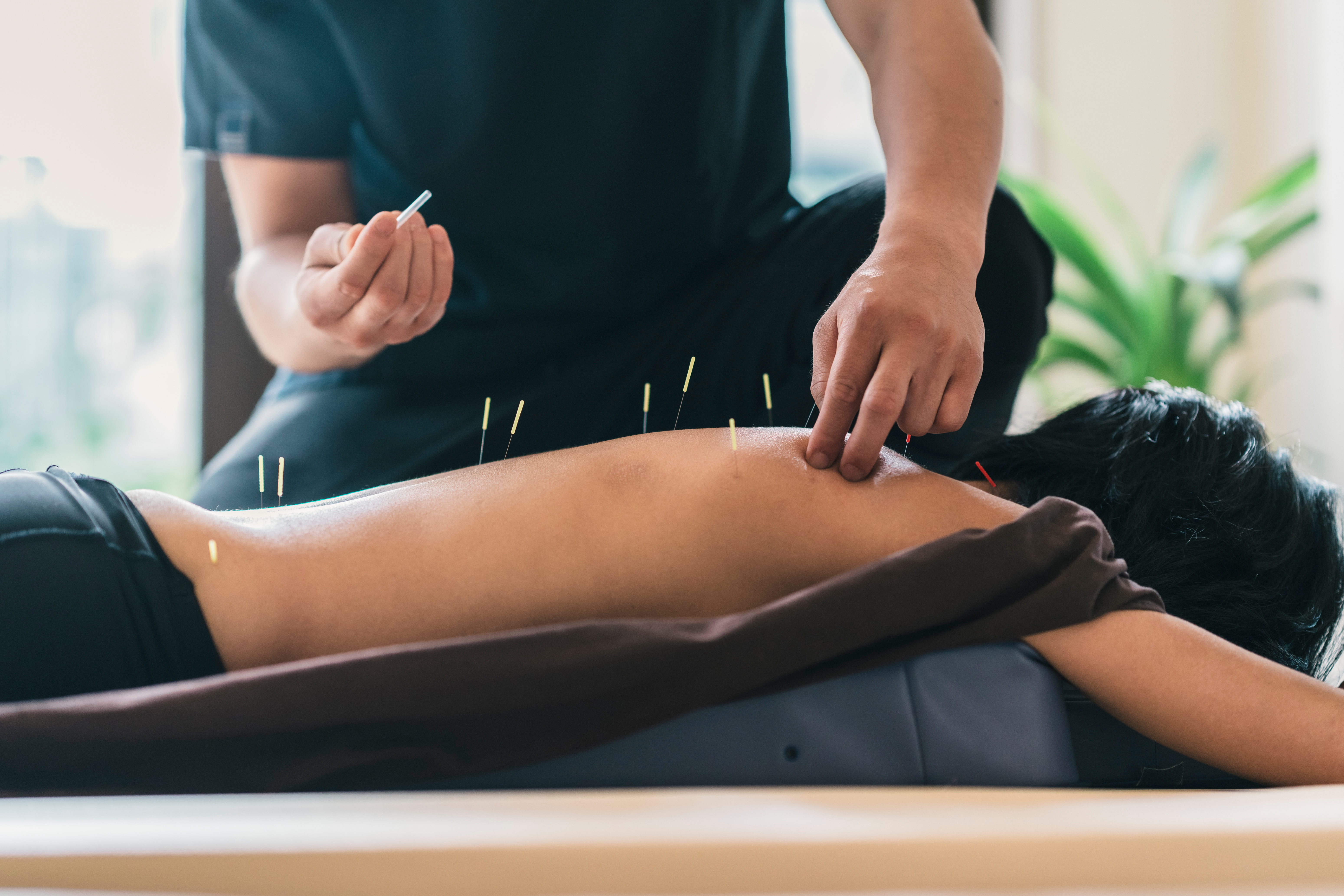 Nutrition & Acupuncture Wellness Center