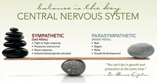 Nutritional Assessment